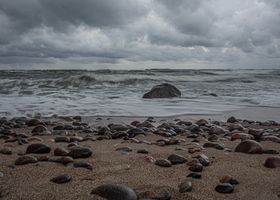 After the Storm, the Kelp